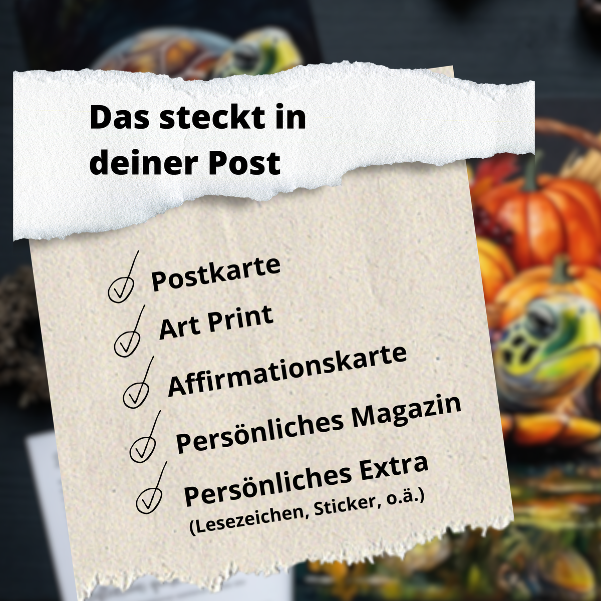 Schildkröten-Post – dein Art Mail Club für Selbstreflexion