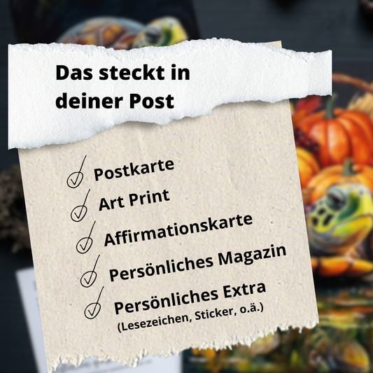Schildkröten-Post – dein Art Mail Club für Selbstreflexion